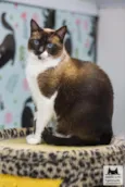 Mia