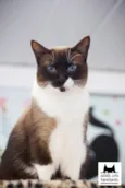 Mia