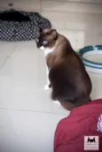 Mia