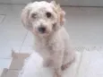 Sem identificação