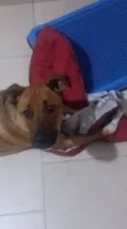 Marley