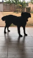 Lua