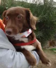 Tutti