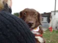 Tutti