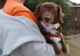 Tutti