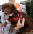 Tutti