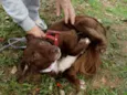 Tutti