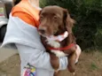 Tutti