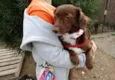 Tutti