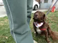 Tutti