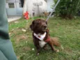 Tutti