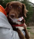Tutti