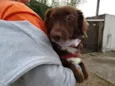 Tutti