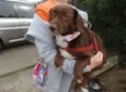 Tutti