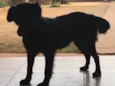 Lua