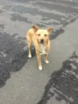 Nemo