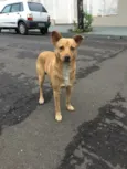 Nemo