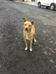Nemo