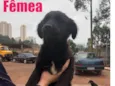 Sem nome