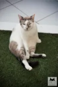 Kurt