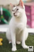 Kurt