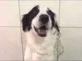 CATIORO