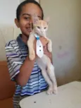 Miguelzinho