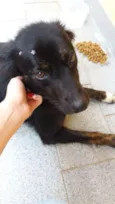 Hope