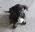 Lili