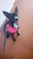 Tina