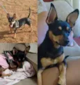 Chiquinha
