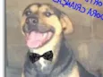 Barthô