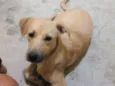 bob