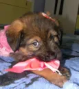 Cristal ..bb