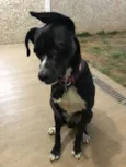 Bebê