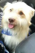 Charlie