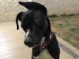 Bebê