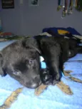 Jhon  Bb
