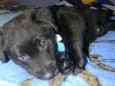 Jhon  Bb