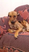 Julieta