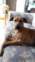 Julieta