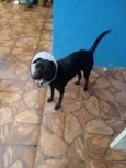 Preta