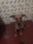 Lupita