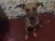 Lupita