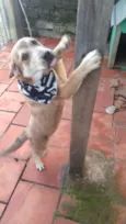 Carmelo