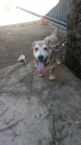 Carmelo