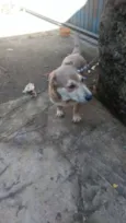 Carmelo