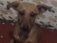 Lupita