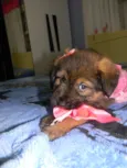 Cristal ..bb