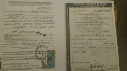 Gato raça Siamês idade 1 ano nome Mel